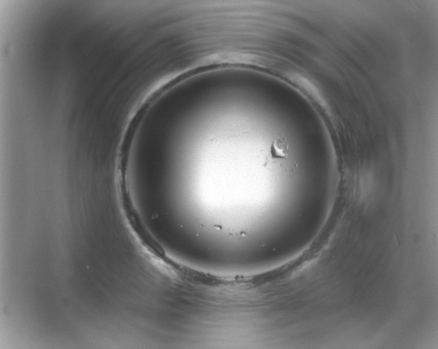 X0000069361133200605121110