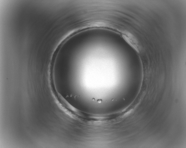 X0000069361134200605121110