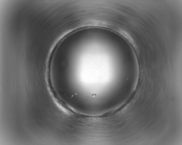 X0000069361136200605121110