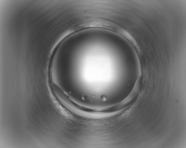 X0000069361138200605121110