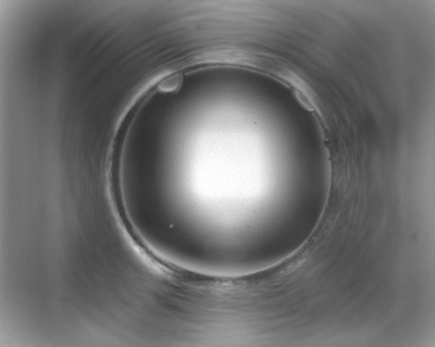 X0000069361139200605121110