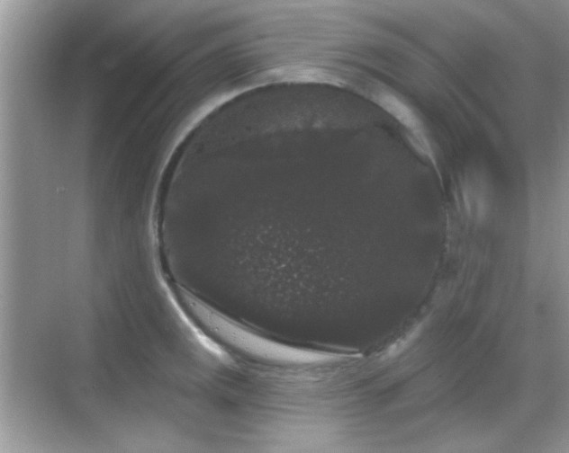 X0000069361141200605121110