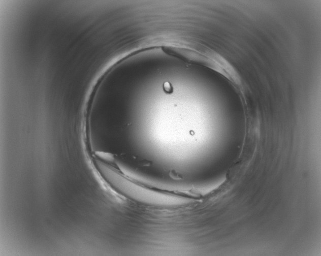 X0000069361144200605121110