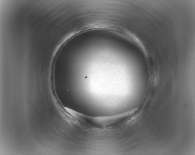 X0000069361146200605121110