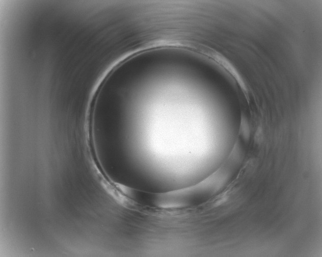 X0000069361148200605121110