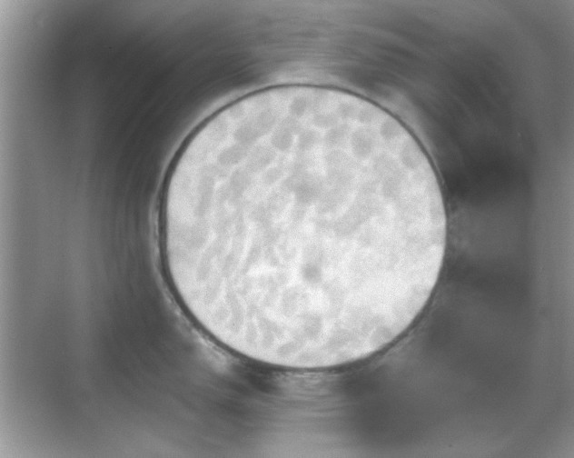 X0000069361150200605121110