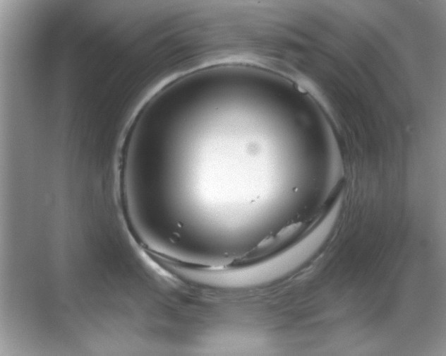 X0000069361151200605121110