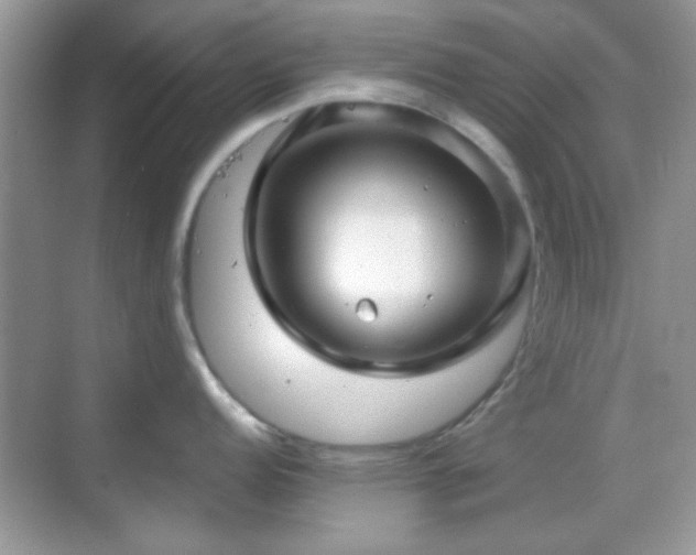 X0000069361152200605121110