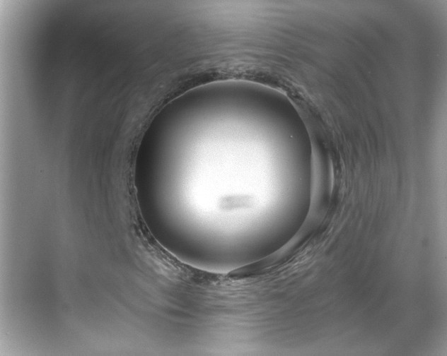 X0000069361153200605121109