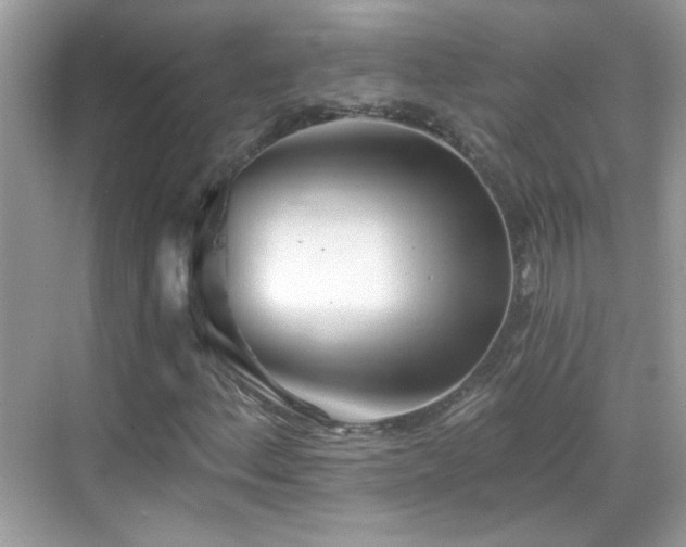 X0000069361156200605121109