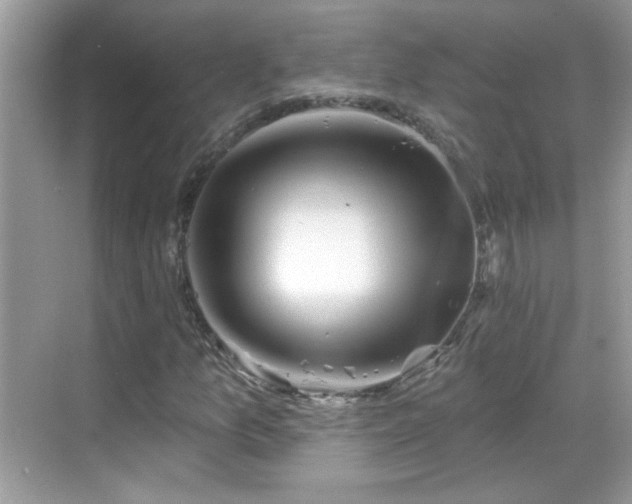 X0000069361157200605121109