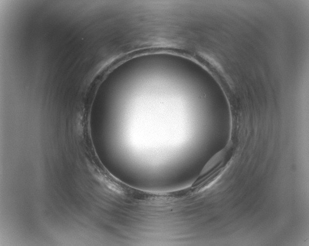 X0000069361163200605121109