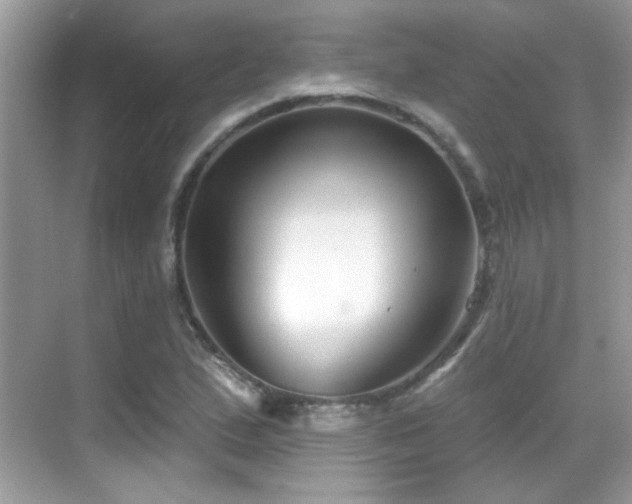X0000069361167200605121109