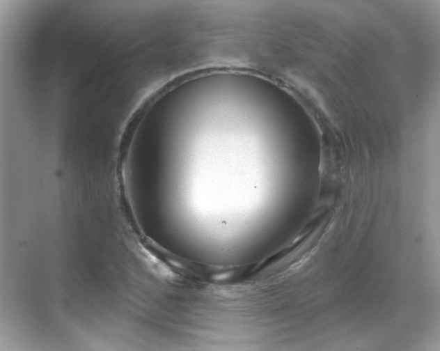 X0000069361168200605121109