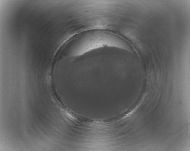 X0000069361170200605121109