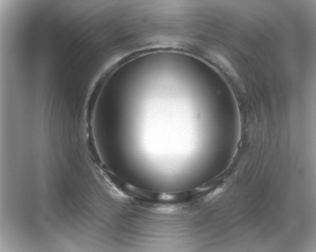 X0000069361172200605121109