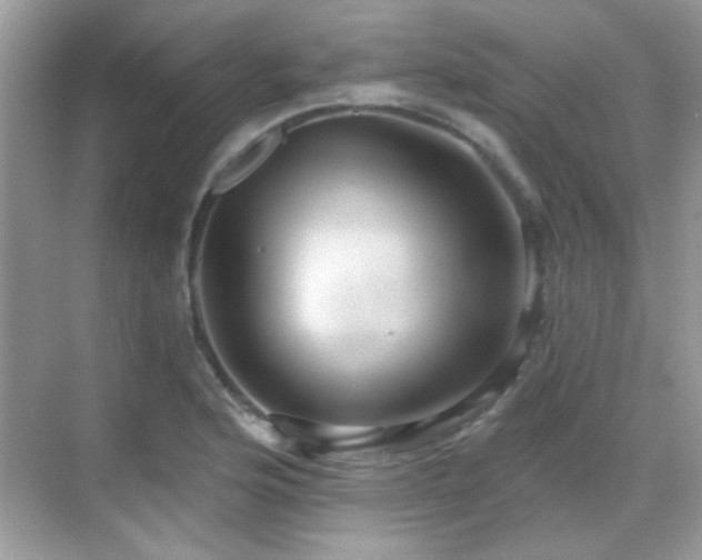 X0000069361176200605121109