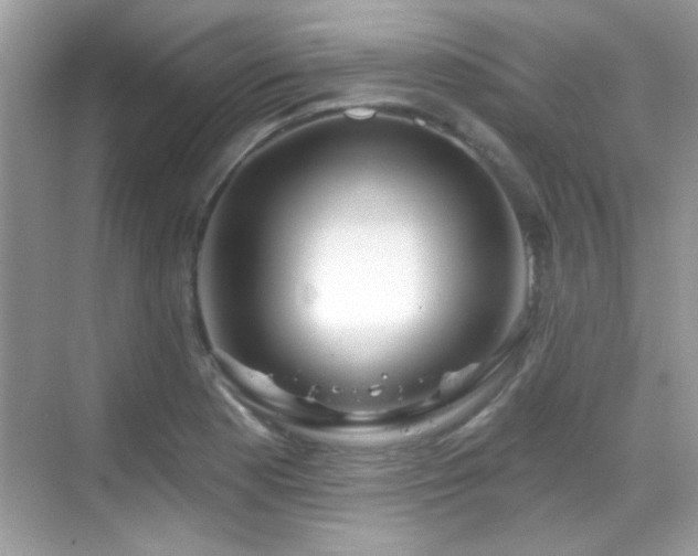 X0000069361177200605121109