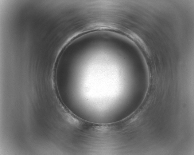 X0000069361182200605121109
