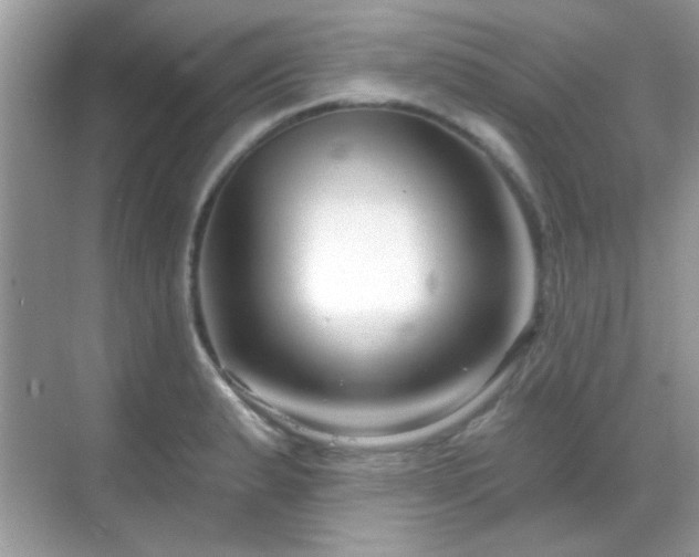 X0000069361183200605121109