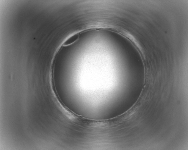 X0000069361187200605121109