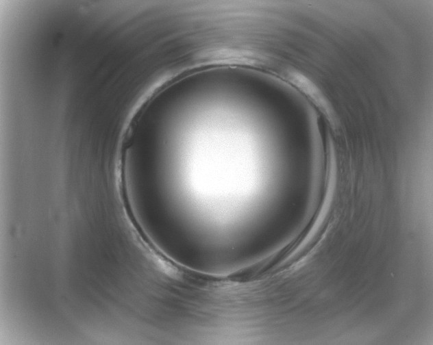 X0000069361188200605121108