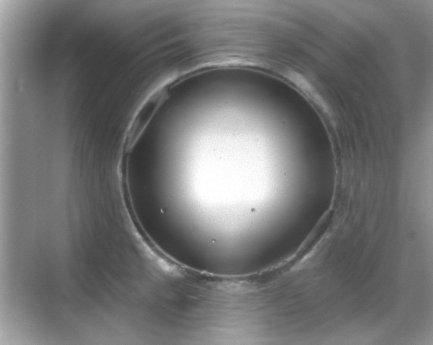 X0000069361189200605121108