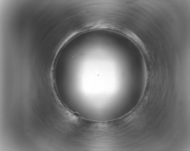 X0000069361190200605121108