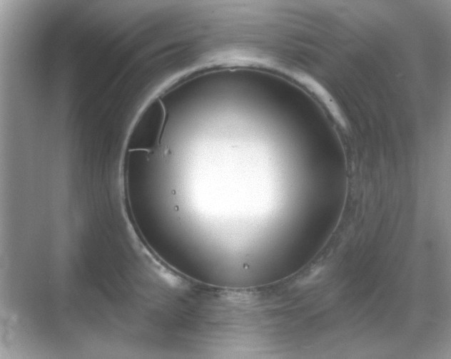 X0000069361191200605121108
