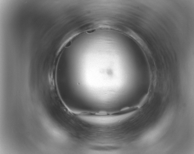 X0000069361198200605121108