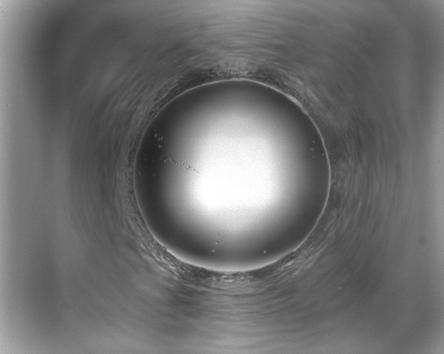X0000069361201200605121107