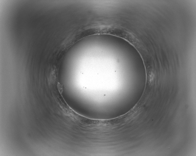 X0000069361204200605121108