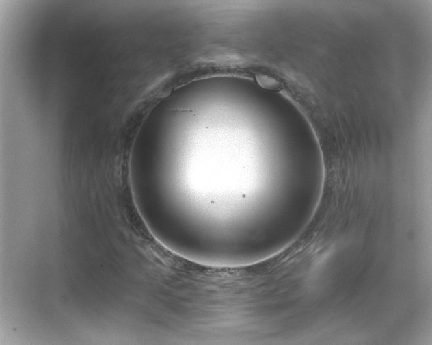 X0000069361205200605121108