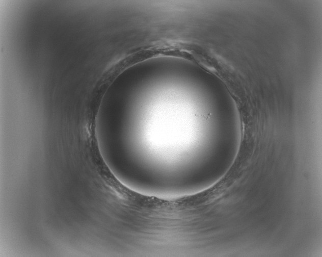 X0000069361206200605121108