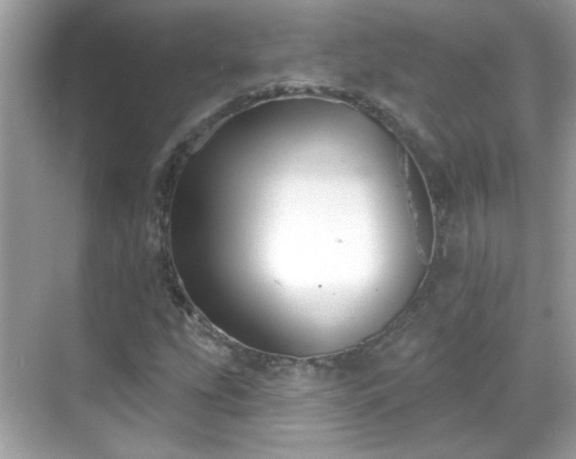X0000069361207200605121108