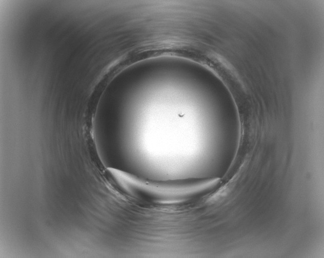 X0000069361210200605121108