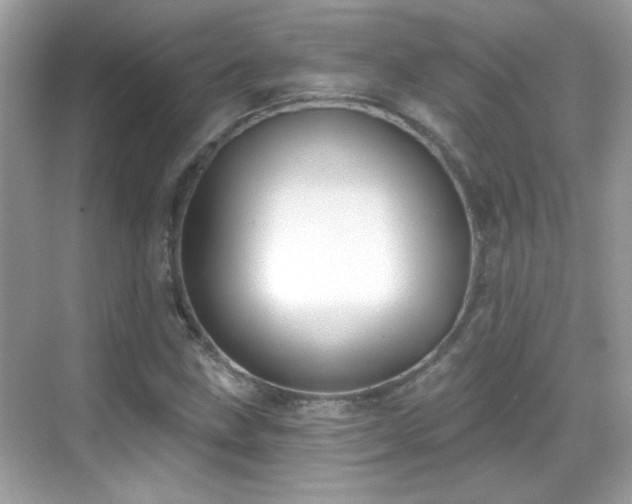 X0000069361211200605121108