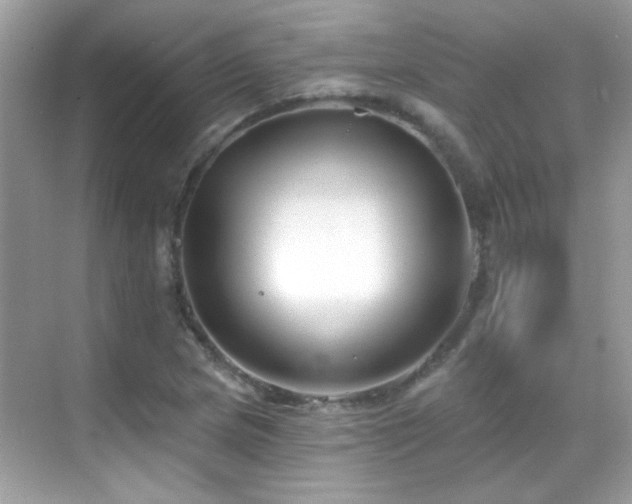 X0000069361217200605121108