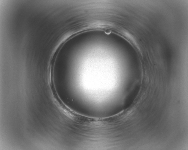 X0000069361227200605121108
