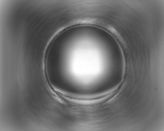 X0000069361232200605121108