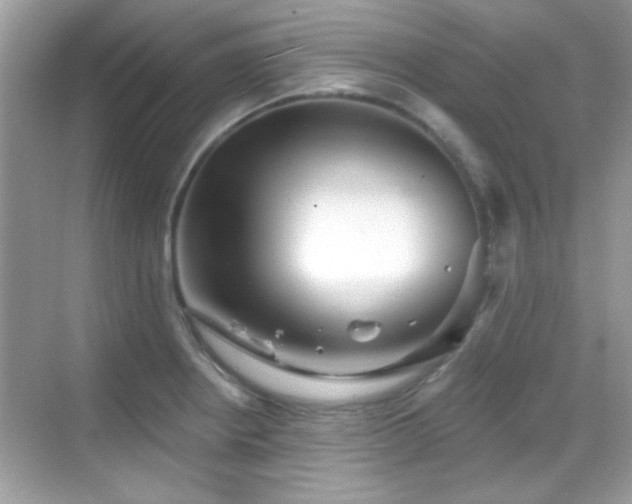 X0000069361234200605121108