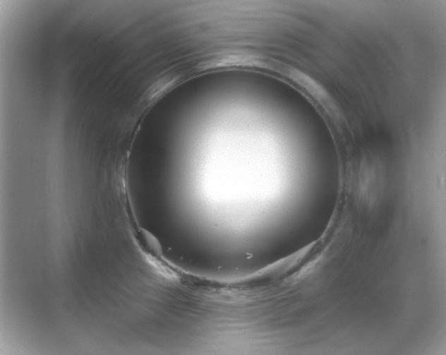 X0000069361241200605121108
