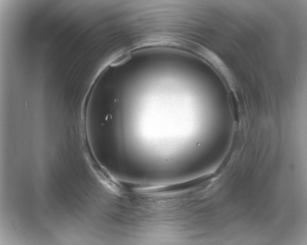 X0000069361242200605121108