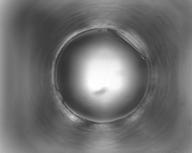 X0000069361246200605121108