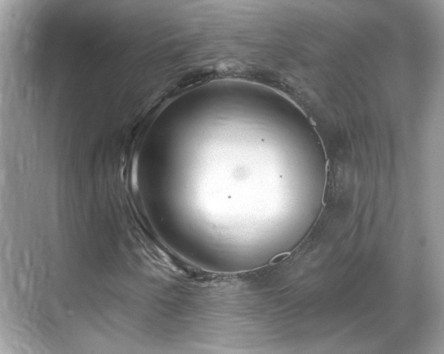 X0000069361250200605121107