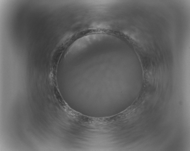 X0000069361254200605121107