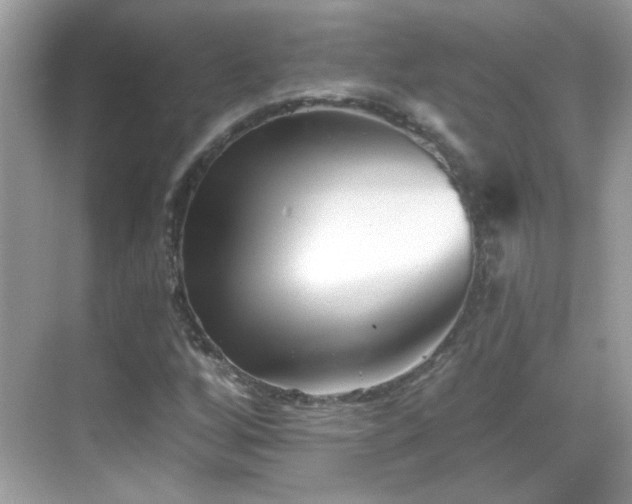 X0000069361256200605121107
