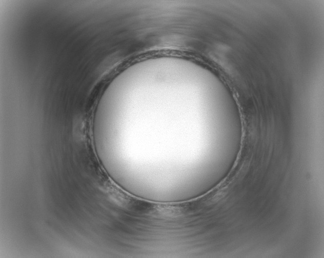 X0000069361258200605121107