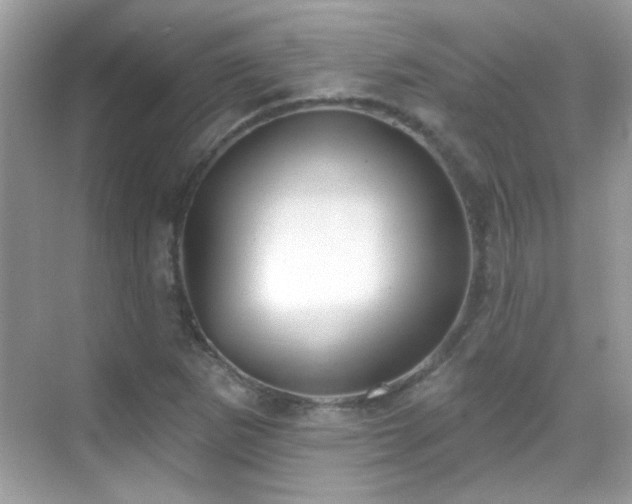 X0000069361265200605121107