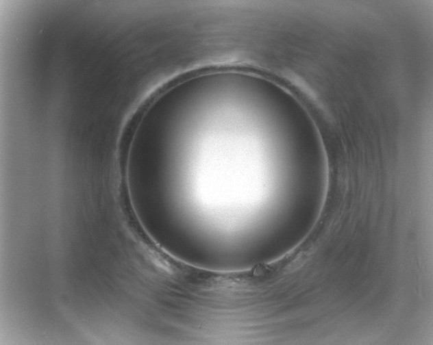 X0000069361270200605121107